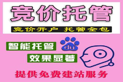SEM推广与竞价代运营结合的实战案例分析